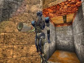 Open Arena