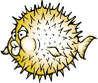 OpenBSD fondacija